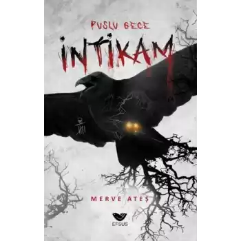 Puslu Gece İntikam