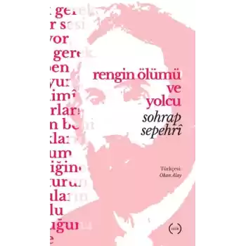Rengin Ölümü ve Yolcu