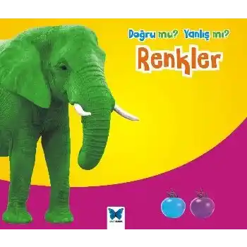 Renkler / Doğru mu Yanlış mı?