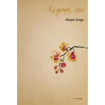 Rüzgardaki Sancı