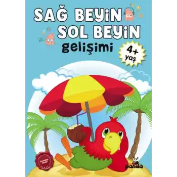 Sağ Beyin-Sol Beyin Gelişimi 4+ Yaş    