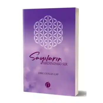 Sayıların Ardındaki Sır