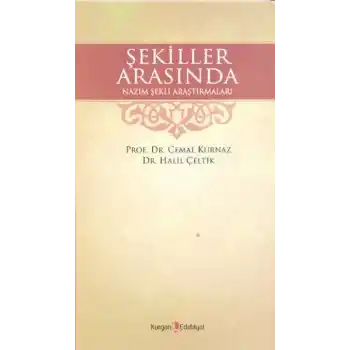 Şekiller Arasında Nazım Şekli Araştırmaları