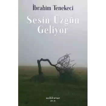 Sesin Üzgün Geliyor