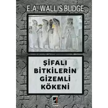 Şifalı Bitkilerin Gizemli Kökeni