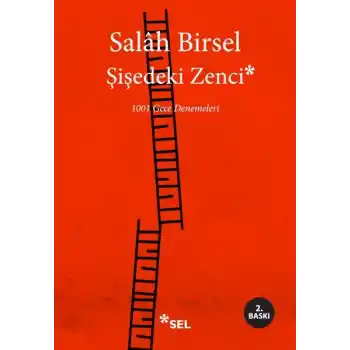 Şişedeki Zenci