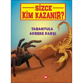 Sizce Kim Kazanır? - Tarantula Akrebe Karşı