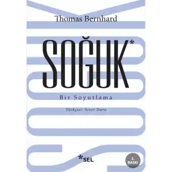 Soğuk - Bir Soyutlama