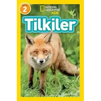 Tilkiler - Seviye 2