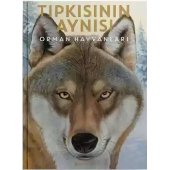 Tıpkısının Aynısı
