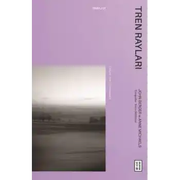 Tren Rayları