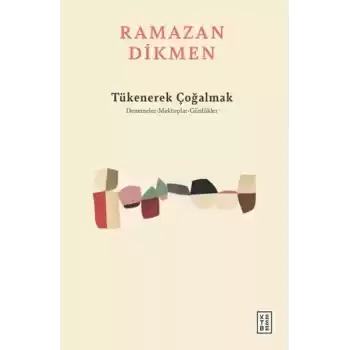 Tükenerek Çoğalmak Denemeler, Mektuplar, Günlükler