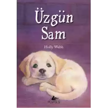 Üzgün Sam