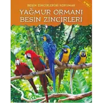 Yağmur Ormanı - Besin Zincirleri