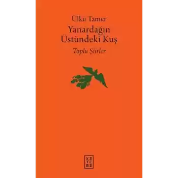 Yanardağın Üstündeki Kuş
