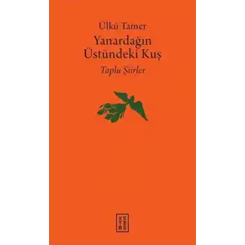 Yanardağın Üstündeki Kuş