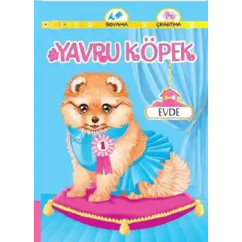 Yavru Köpek Evde