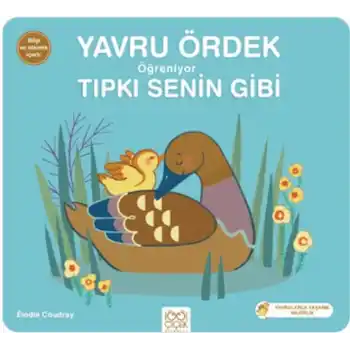 Yavru Ördek Öğreniyor Tıpkı Senin Gibi