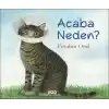 Acaba Neden?