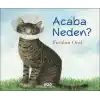 Acaba Neden?