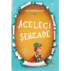 Aceleci Şehzade