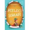 Aceleci Şehzade