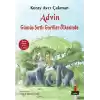 Advin Gümüş Sırtlı Goriller Ülkesinde