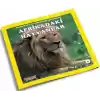 Afrikadaki Hayvanlar - Benim Hayvan Arkadaşlarım Dizisi 1