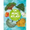 Ağaç Atlası- Dev Harita ve Çıkartma Hediyeli- Karton Kapak