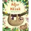 Ağır Aksak