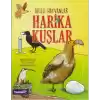 Akıllı Hayvanlar Harika Kuşlar