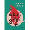 Aksi Gibi