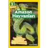 Amazon Hayvanları - National Geographic Kids