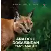 Anadolu Doğasından Yansımalar