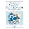 Anadolu Selçukları Bir Hanedanın Evrimi