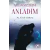 Anlamsızlığını Anladım