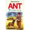 Ant