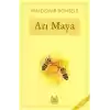Arı Maya