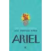 Ariel