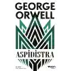 Aspidistra