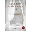 Aynalar Günlüğü