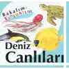 Bakalım Tanıyalım Deniz Canlıları (Ciltli)
