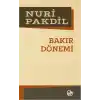 Bakır Dönemi