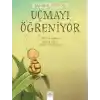 Bal Arısı Tonton - Uçmayı Öğreniyor