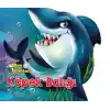 Ben Kimim? - Köpek Balığı