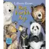 Beş Farklı Ayı