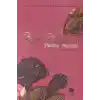 Biçim Değiştiren