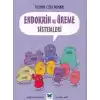 Bilimin Çizgi Romanı - Endokrin ve Üreme Sistemleri