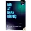 Bir At Bara Girmiş