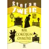 Bir Çöküşün Öyküsü